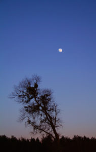 Mond am Stettiner Haff