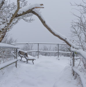 Harz Bank